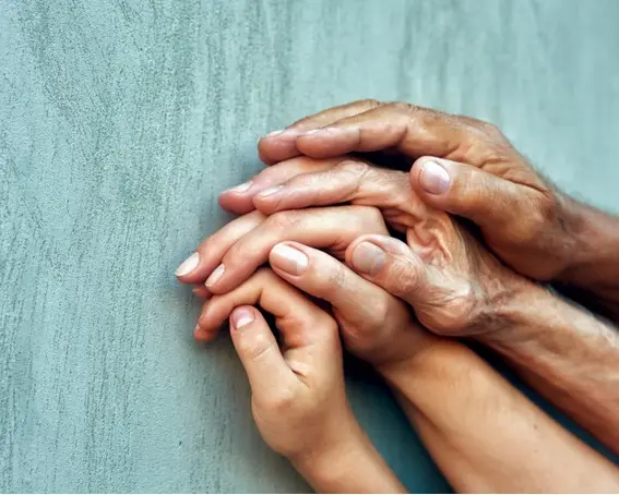 Familienstellen in Ilmenau (Gehren) - Heilpraxis Ritter